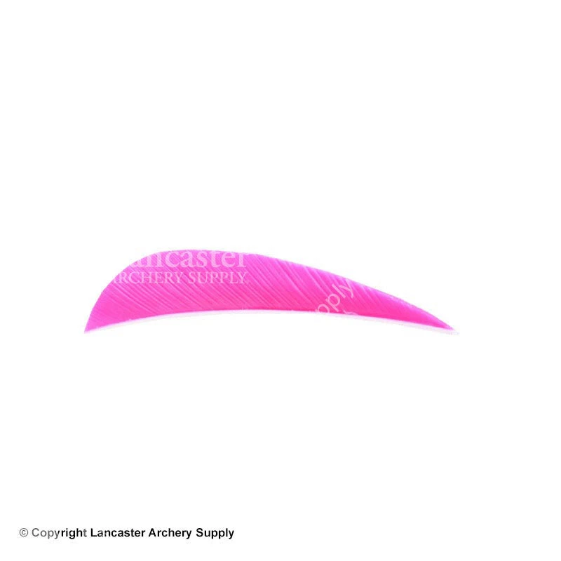 Trueflight 2.5" RW Round Back Feather 2 Trueflight 2.5" RW Round Back Feather - Image 2