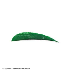 Trueflight 3" RW Round Back Feather 19 Trueflight 3" RW Round Back Feather -Bearpaw Shop 5200003 kelly ee99ebca 6e36 48be b195 3f6b7fff7b9b