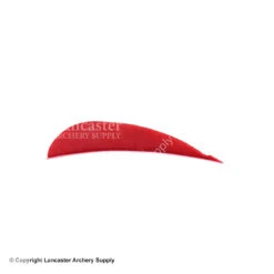 Trueflight 3" RW Round Back Feather 16 Trueflight 3" RW Round Back Feather -Bearpaw Shop 5200003 scarlet red 20e3b7d6 279d 4057 bd2b 3c8e71c1b4ba
