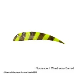 Trueflight Barred 4" RW Round Back Feather -Bearpaw Shop 5200005 barredchartruse