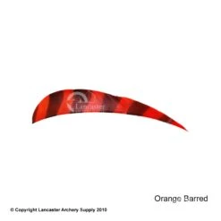 Trueflight Barred 4" RW Round Back Feather -Bearpaw Shop 5200005 barredorange