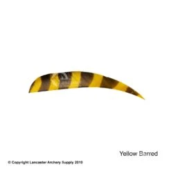 Trueflight Barred 4" RW Round Back Feather -Bearpaw Shop 5200005 barredyellow
