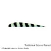 Trueflight Barred 4" RW Round Back Feather
