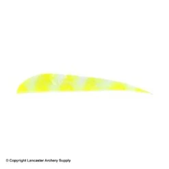 Trueflight Brite Stripes 4" RW Round Back Feather 8 Trueflight Brite Stripes 4" RW Round Back Feather -Bearpaw Shop 5200006 chartreuse white