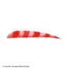Trueflight Brite Stripes 4" RW Round Back Feather