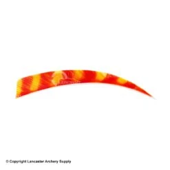 Trueflight Brite Stripes 5" RW & LW Shield Back Feather -Bearpaw Shop 5200007 char orange