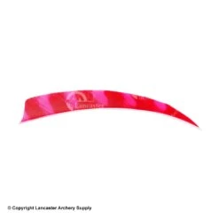 Trueflight Brite Stripes 5" RW & LW Shield Back Feather -Bearpaw Shop 5200007 red pink