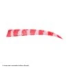 Trueflight Brite Stripes 5" RW & LW Shield Back Feather