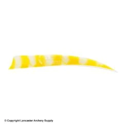 Trueflight Brite Stripes 5" RW & LW Shield Back Feather -Bearpaw Shop 5200007 yel white