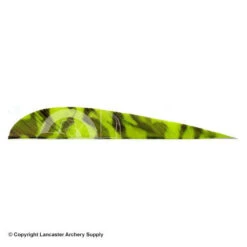 Trueflight Camo 4" RW Round Back Feather -Bearpaw Shop 5200010 chartreuse