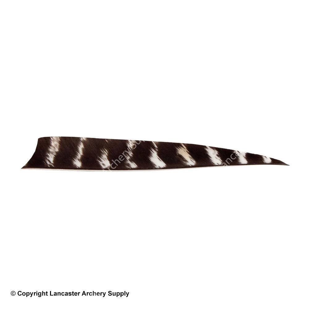 Bearpaw 5" Shield Cut Natural Barred Feather 1 Bearpaw 5" Shield Cut Natural Barred Feather