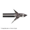 Ramcat 100 Broadheads (Deep Six)