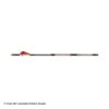 Bloodsport Judgement Fletched Arrows