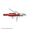 Bloodsport Nitefall Broadheads